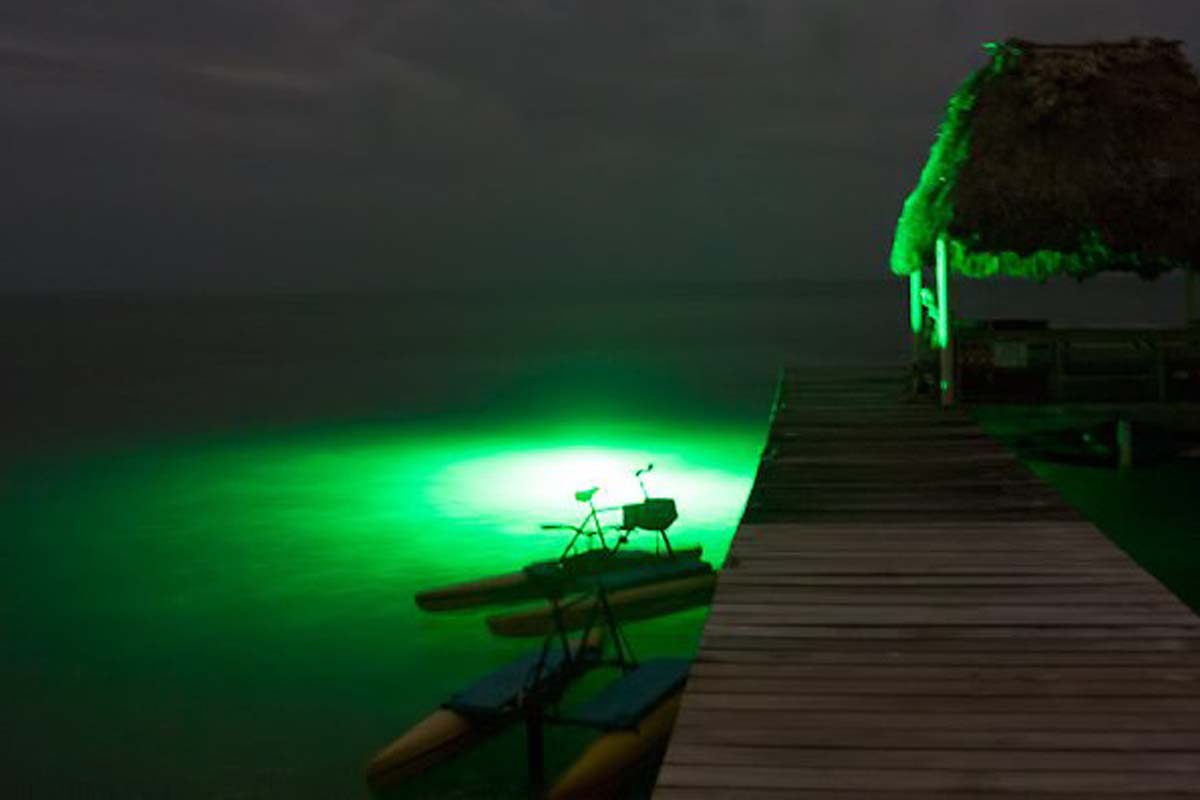 Underwater LED Fishing Lights - Green LED Lights - LedsUniverse