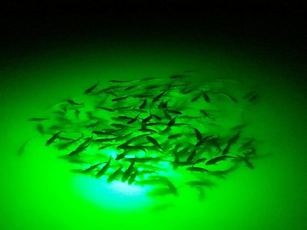 Underwater/Submersible Green Night Fishing Light Boat,Pier,Dock 