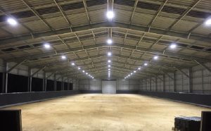 indoor-motion-sensor-barn-lights-horse-stalls-on-a-farm